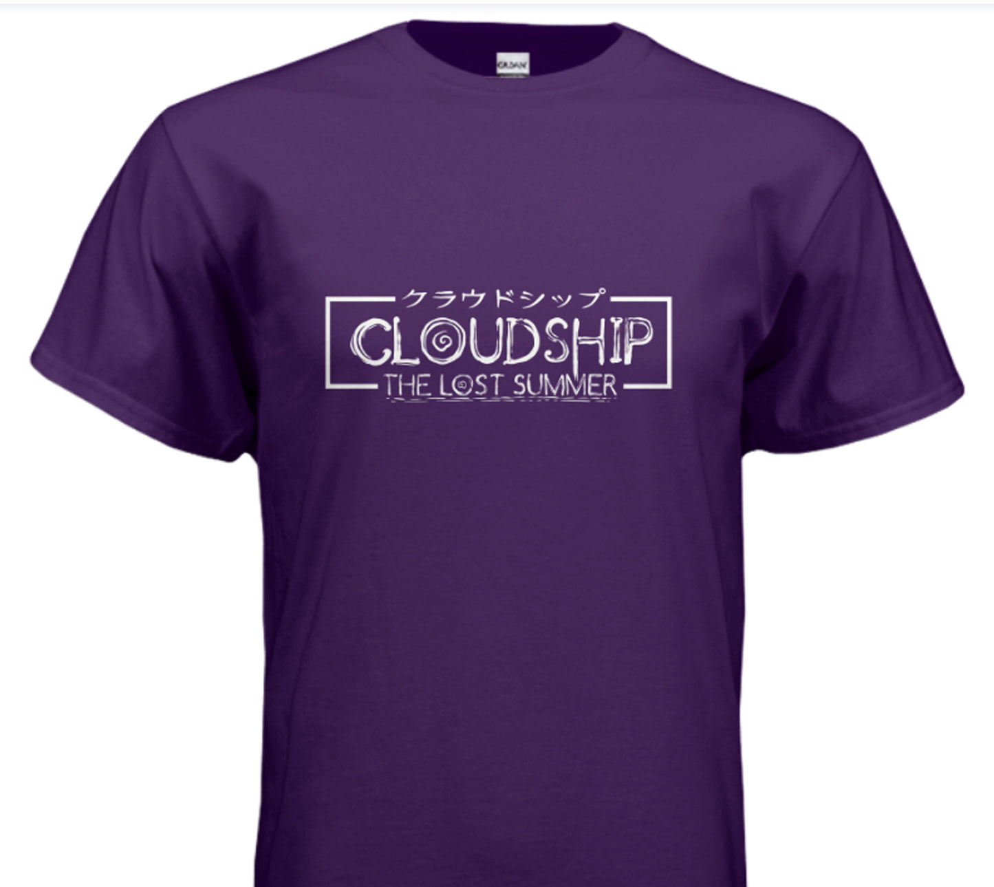 "The Lost Summer" Logo